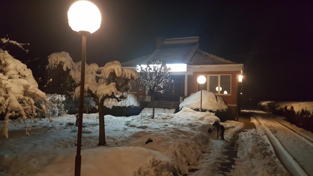 Vila Lola Bela Crkva  Εξωτερικό φωτογραφία